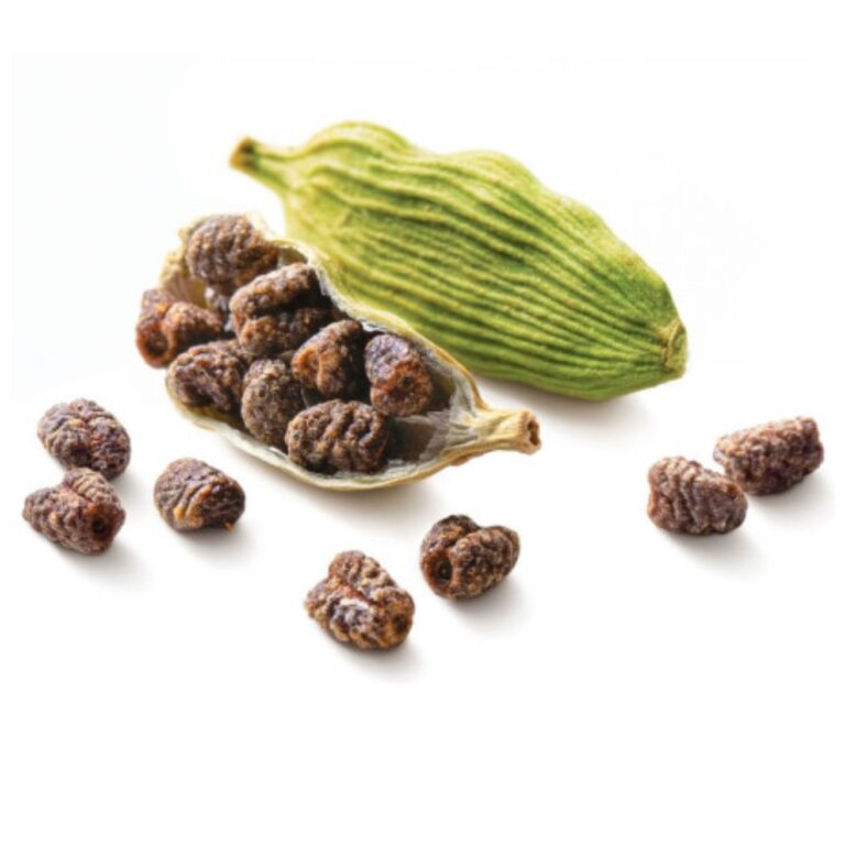 Cardamom - Image 3