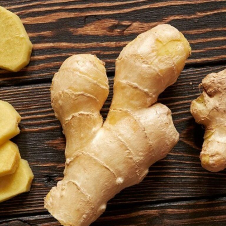 Ginger - Image 2