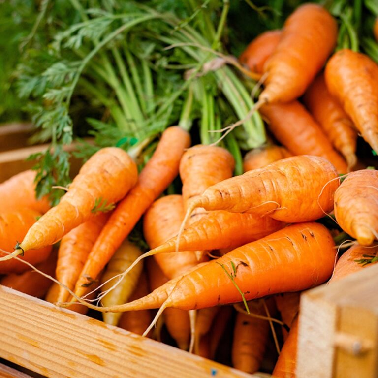 Vegetables - Image 2
