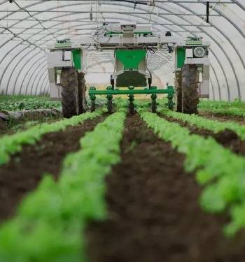 prestige-agricultural product
